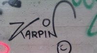Karpin